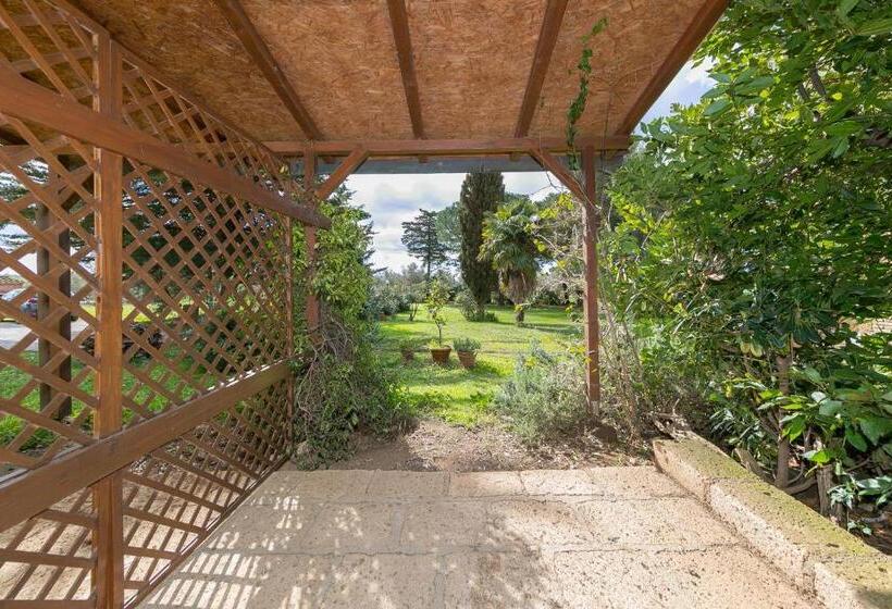 酒店 Il Nazareno   Il Coppaio