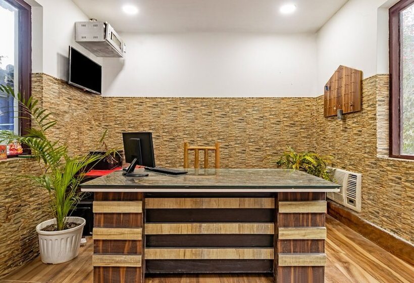 Itsy Hotels Paddler Zone With Bungee Jumping