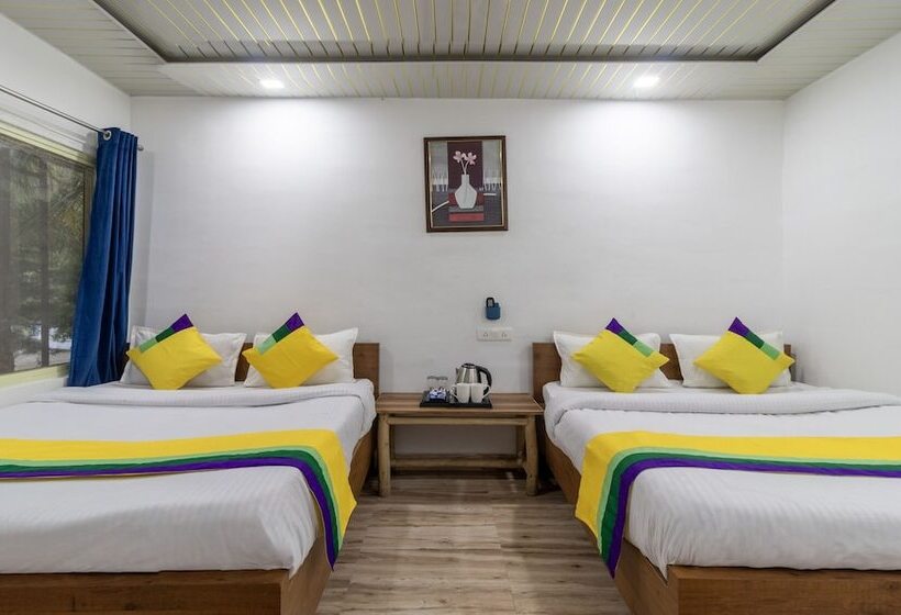 Itsy Hotels Paddler Zone With Bungee Jumping