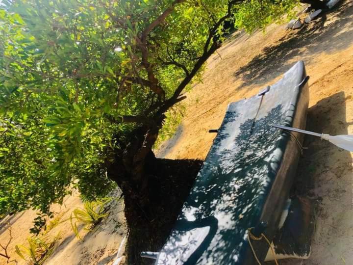 Отель Lankathilaka Kitesurfing Holiday Resort