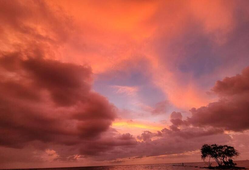 호텔 Los Bohios De Coveñas