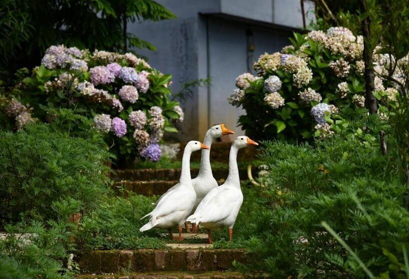 酒店 Sumeru Resort