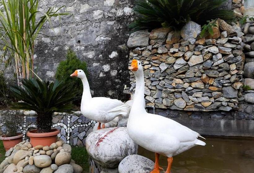 酒店 Sumeru Resort