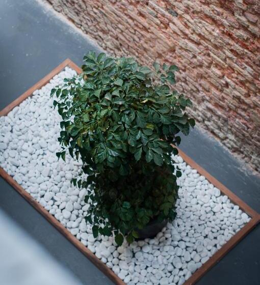 פנסיון Aayu Melayu