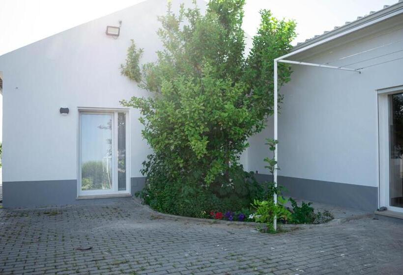 بنسيون Alojamento Moinho D`óbidos