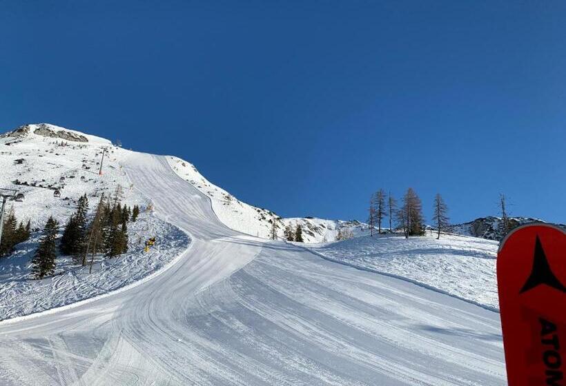 ペンション Ausseerhaus Im Grünen