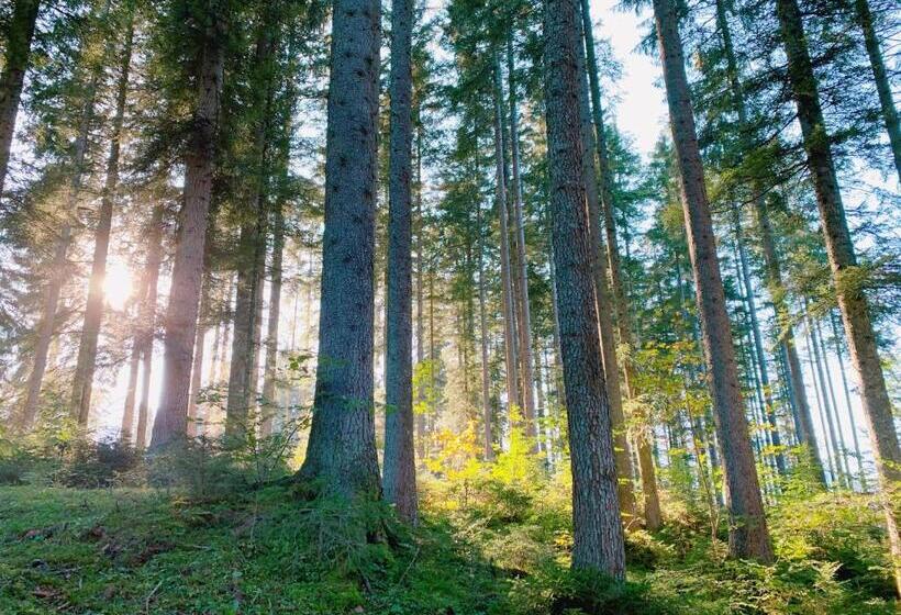 膳宿费 Ausseerhaus Im Grünen