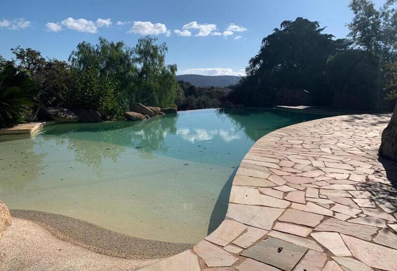 ペンション Chambre Mustang Vue Mer Villa Casaeva