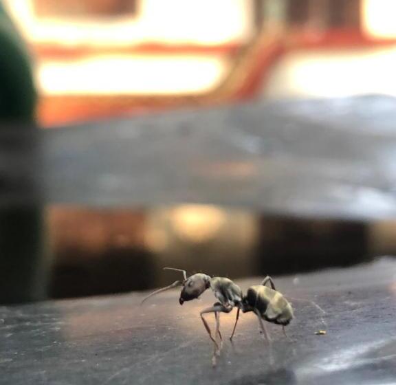 펜션 Cherish Calm & Wild