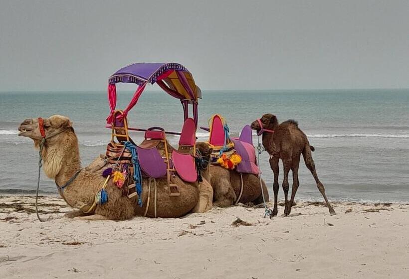 بنسيون Dar El Kahina Djerba