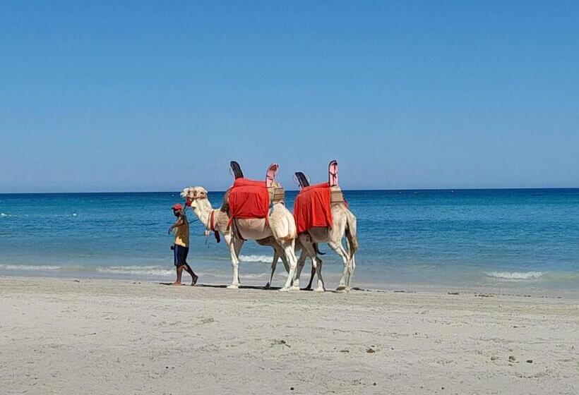 بنسيون Dar El Kahina Djerba
