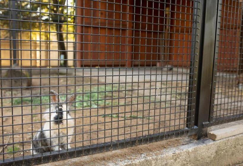 膳宿费 Family Farm Vendégház