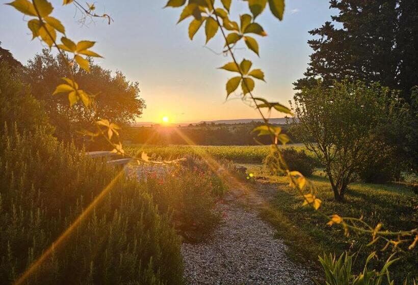 膳宿费 Le Mazet Anna