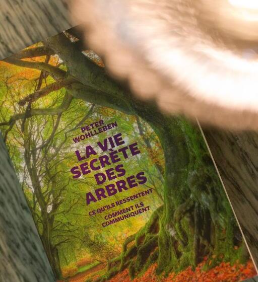 פנסיון Le Monde De Charlie