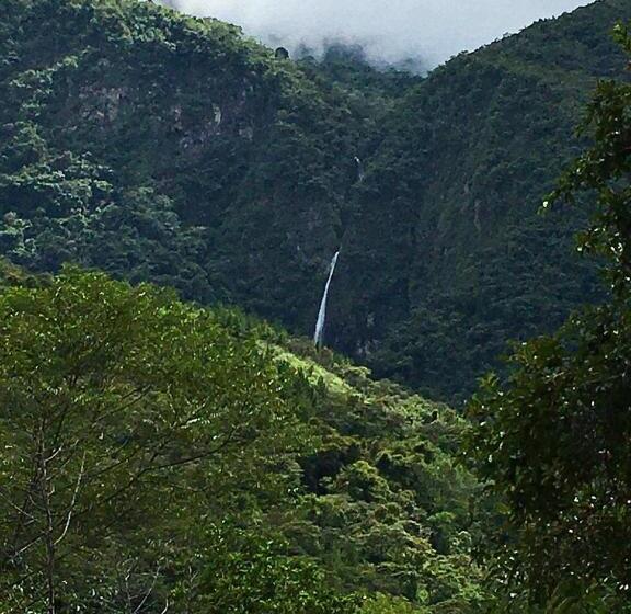 膳宿费 Madera Verde Ecolodge