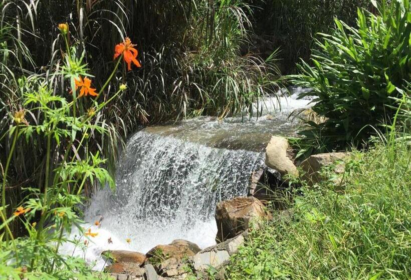 膳宿费 Madera Verde Ecolodge