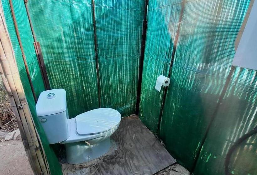 膳宿费 Milagro De Algar