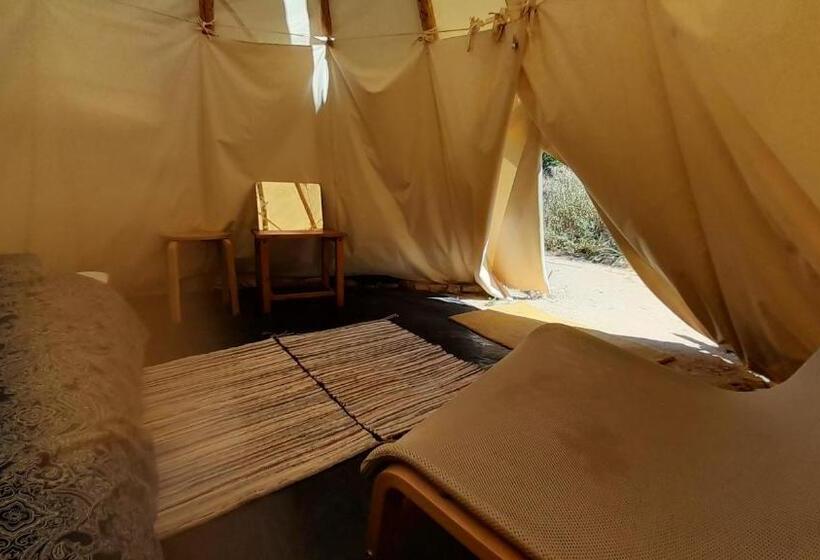 膳宿费 Milagro De Algar