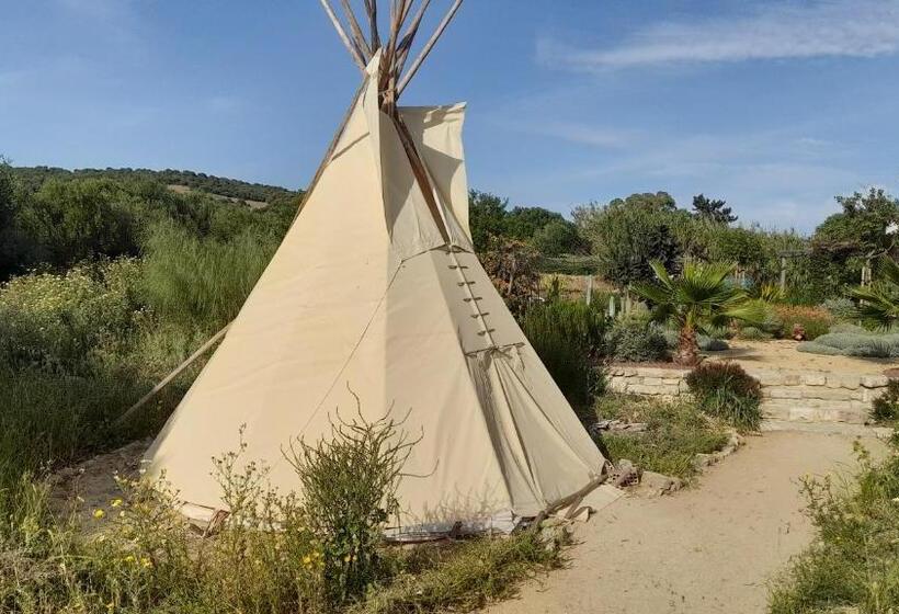 膳宿费 Milagro De Algar