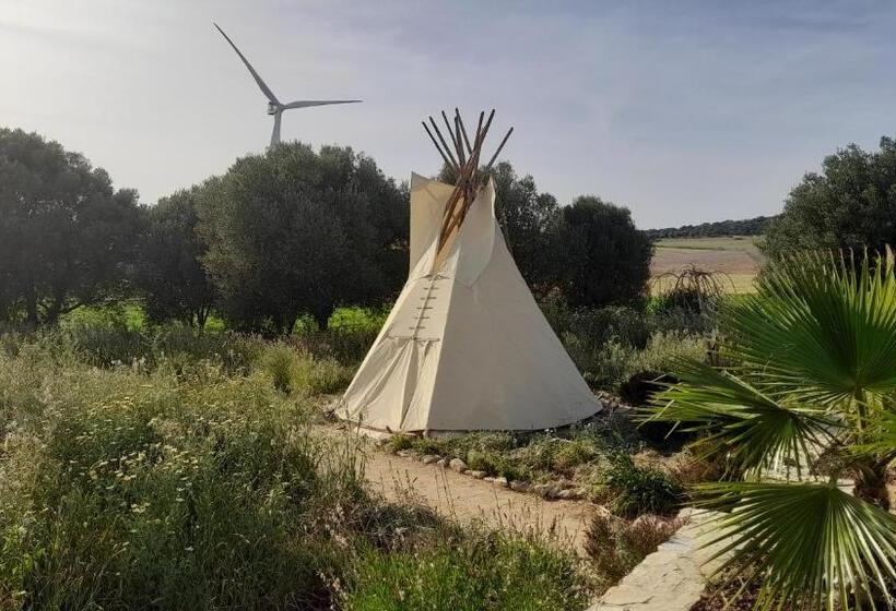 膳宿费 Milagro De Algar