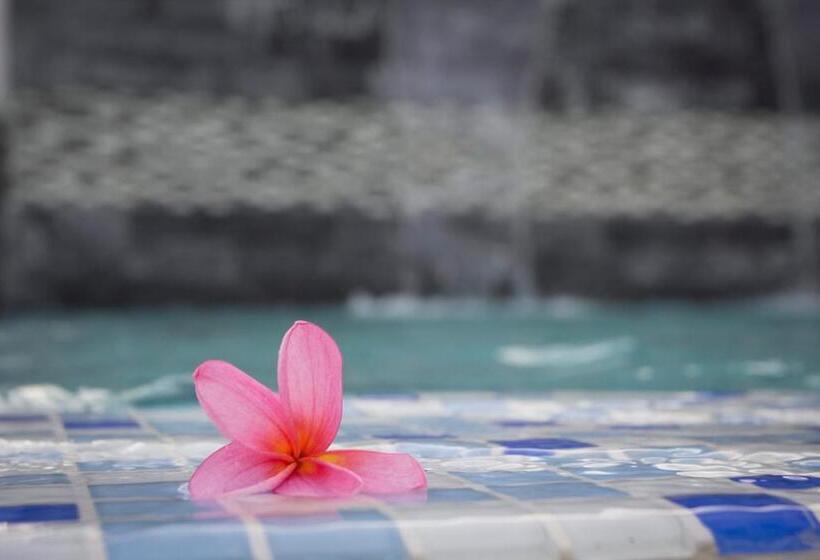 פנסיון Secret Garden Warni Villa