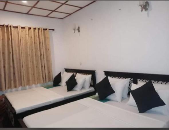 بنسيون Ella Gypsies Hostel