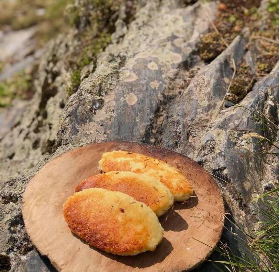 پانسیون Ushguli   Xii Century