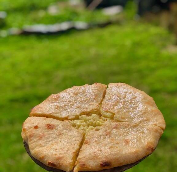 پانسیون Ushguli   Xii Century