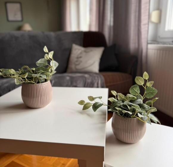 Pension Faulpelz   Apartment