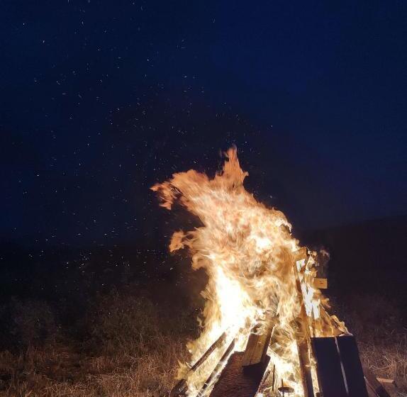 Pensiunea Casa Negrea