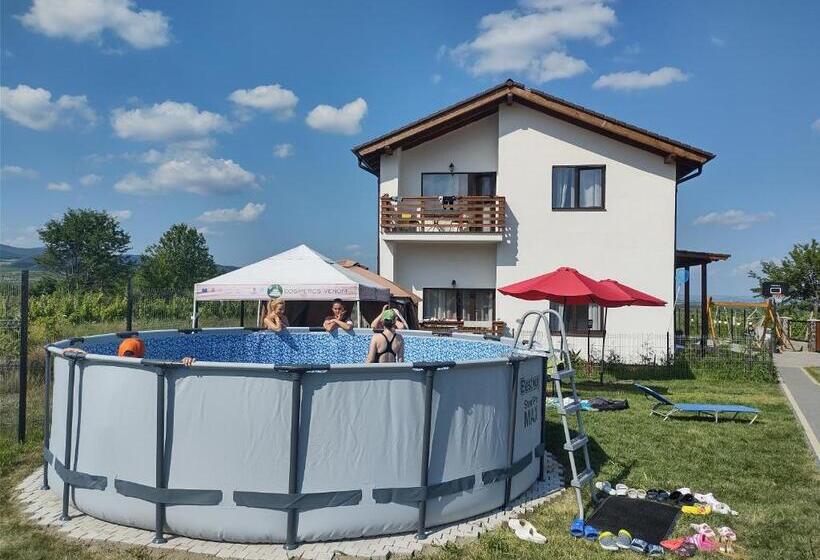 Pensiunea Casa Negrea