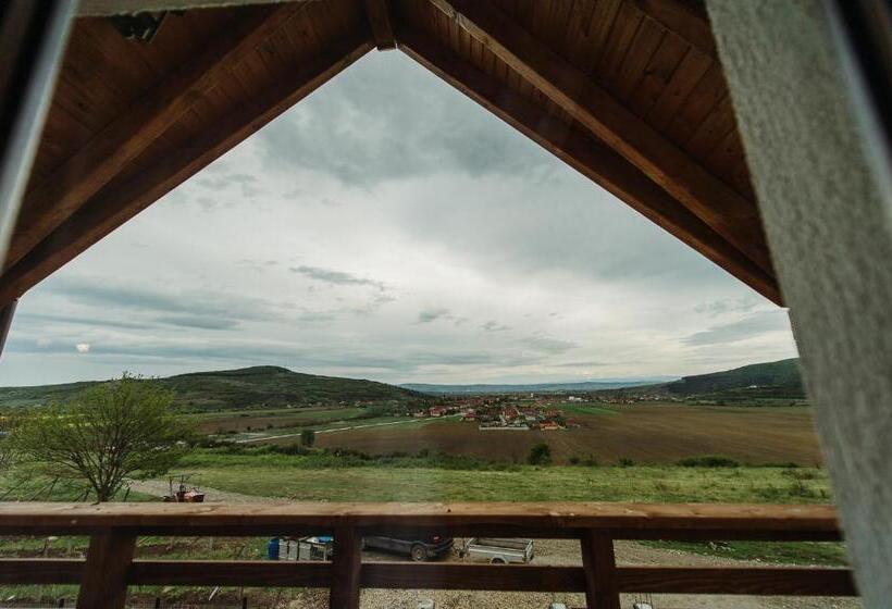 Pensiunea Casa Negrea