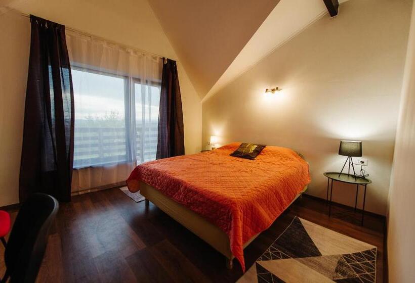 Pensiunea Casa Negrea