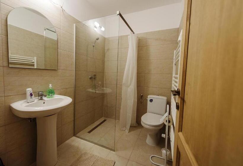 Pensiunea Casa Negrea