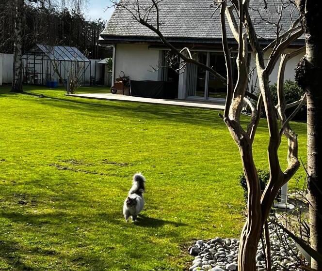 住宿加早餐  Chambres D Hôtes Dans Une Magnifique Propriété