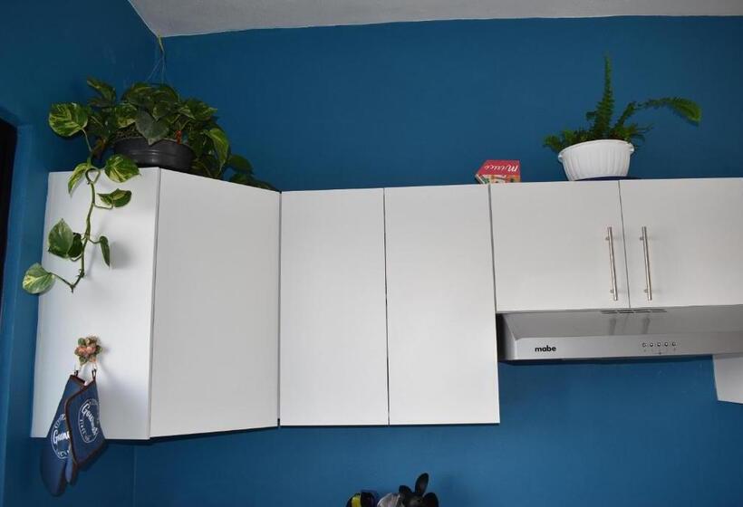 住宿加早餐  Itzae Antigua San Miguel De Allende Dog Friendly