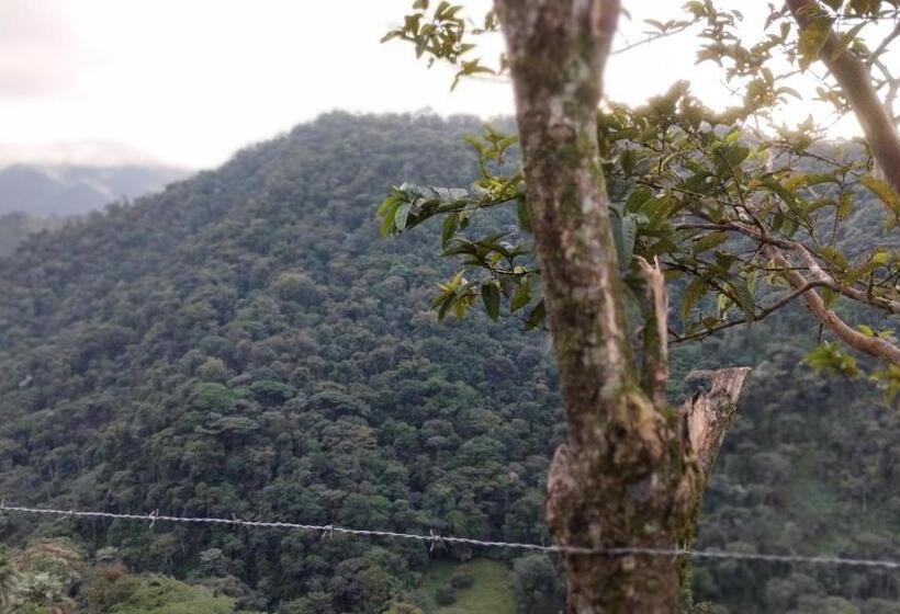 ベッドアンドブレックファースト Finca Del Cielo