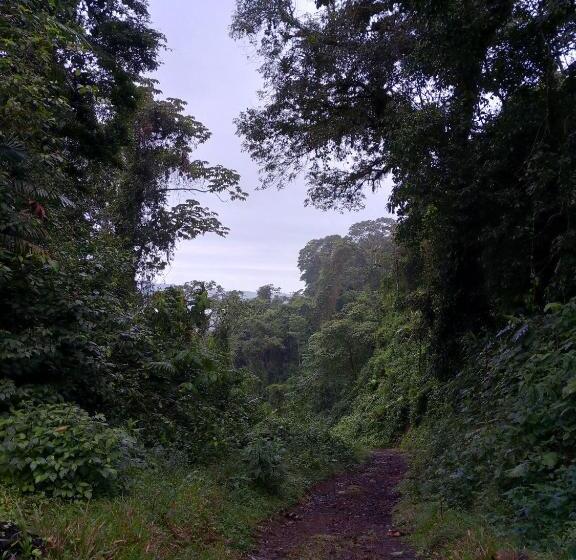 ベッドアンドブレックファースト Finca Del Cielo