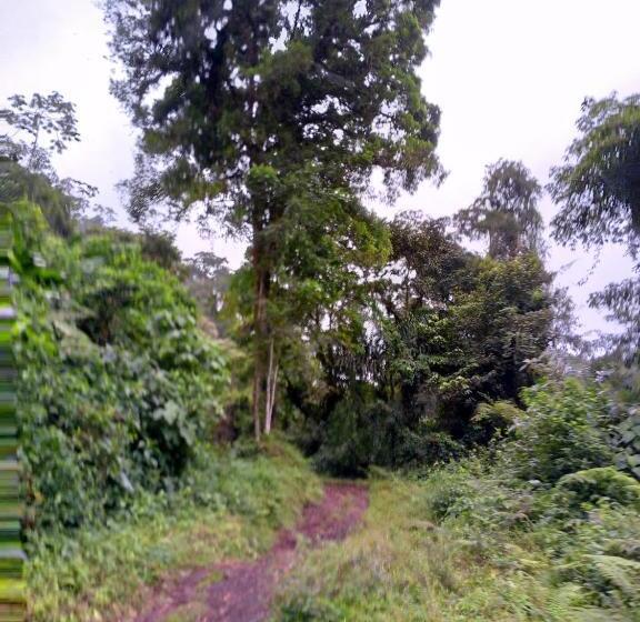 ベッドアンドブレックファースト Finca Del Cielo