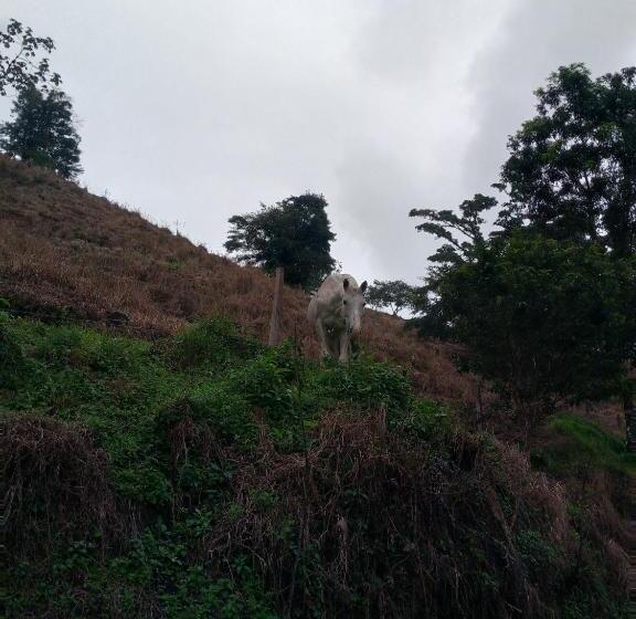 ベッドアンドブレックファースト Finca Del Cielo