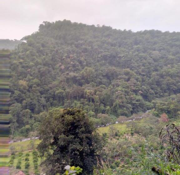 ベッドアンドブレックファースト Finca Del Cielo