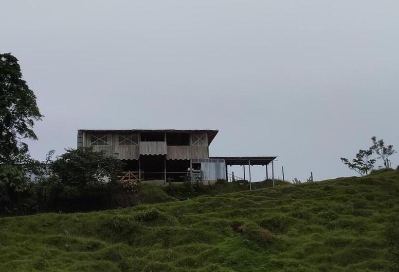 ベッドアンドブレックファースト Finca Del Cielo