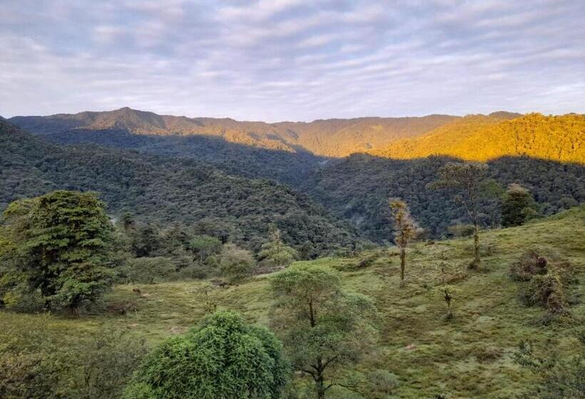 ベッドアンドブレックファースト Finca Del Cielo