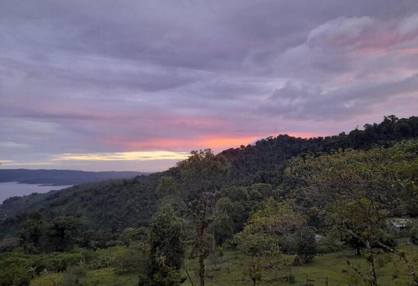 ベッドアンドブレックファースト Finca Del Cielo