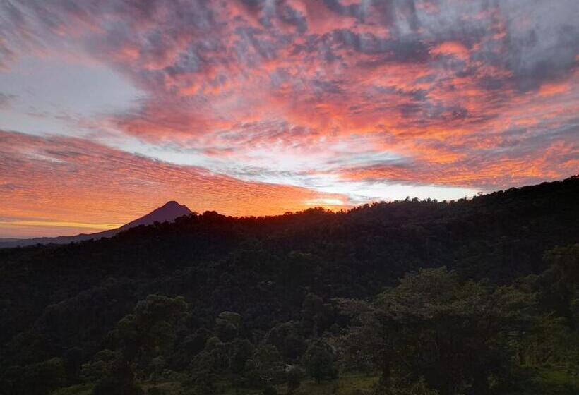 ベッドアンドブレックファースト Finca Del Cielo