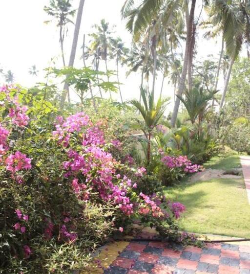 ベッドアンドブレックファースト Fool S Paradise