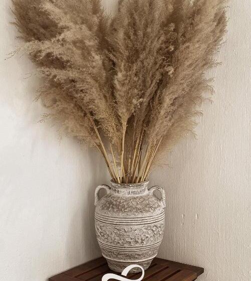 تختخواب و صبحانه Lo Villa Phu Yen