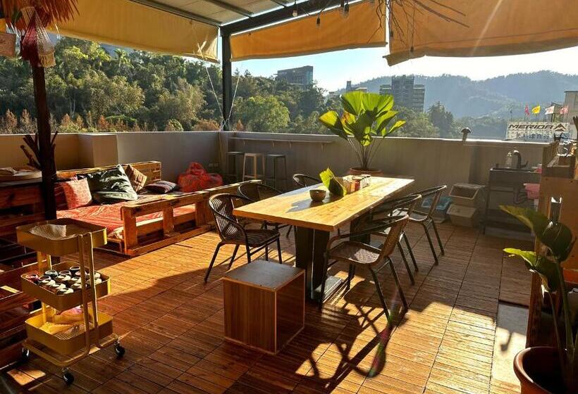 Dreamy Nomads Hostel日月潭背包客
