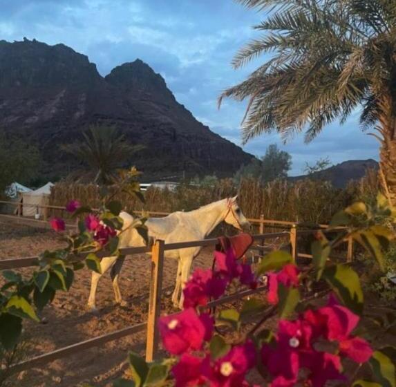 בית מלון כפרי مبيت نسيم الجبل