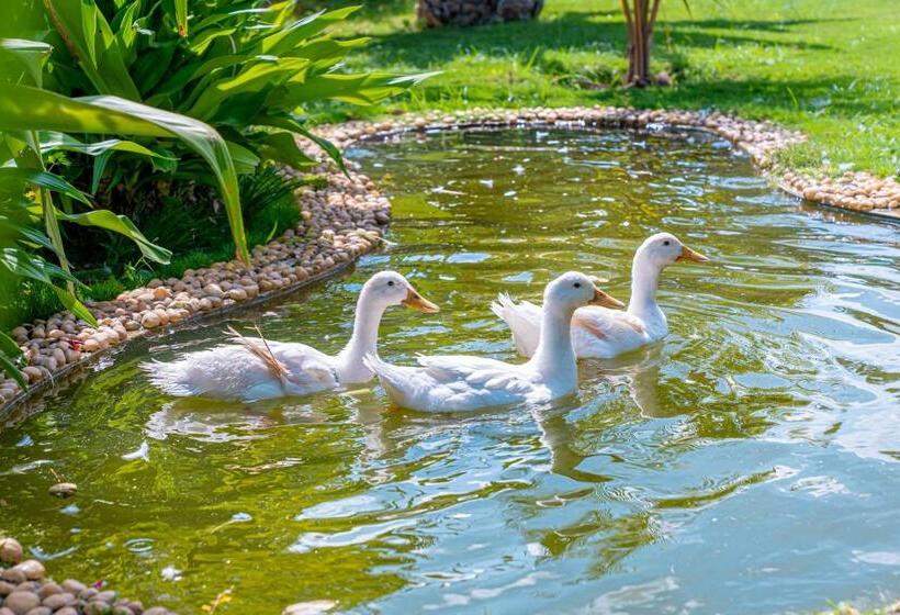 בית מלון כפרי Abhishta Agri Farm Stay